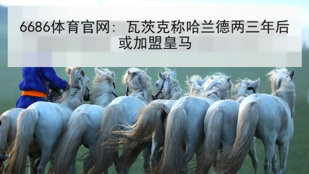 6686体育官网: 瓦茨克称哈兰德两三年后或加盟皇马 6686体育官网: 瓦茨克称哈兰德两三年后或加盟皇马