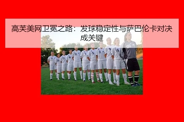 gao-fu-mei-wang-wei-mian-zhi-lu-fa-qiu-wen-ding-xing-yu-sa-ba-lun-ka-dui-jue-cheng-guan-jian-3-362.jpg