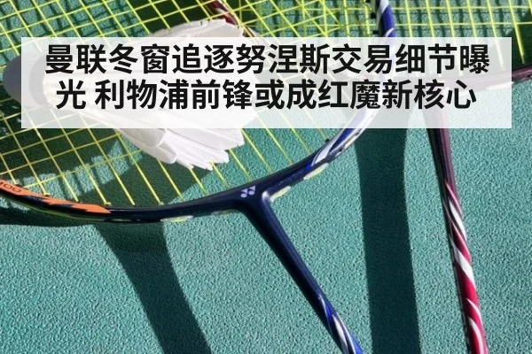 曼联冬窗追逐努涅斯交易细节曝光 利物浦前锋或成红魔新核心