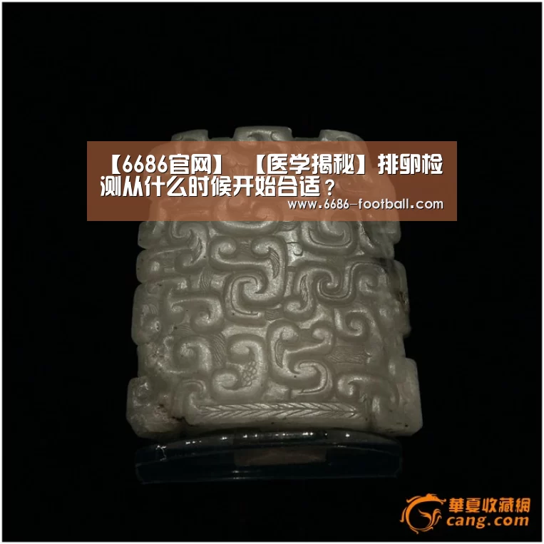 6686登录入口