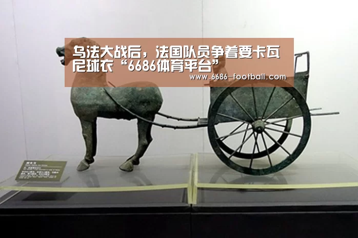 6686官网